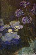 Claude Monet Water Lilies and Agapanthus Lilies Sweden oil painting reproduction